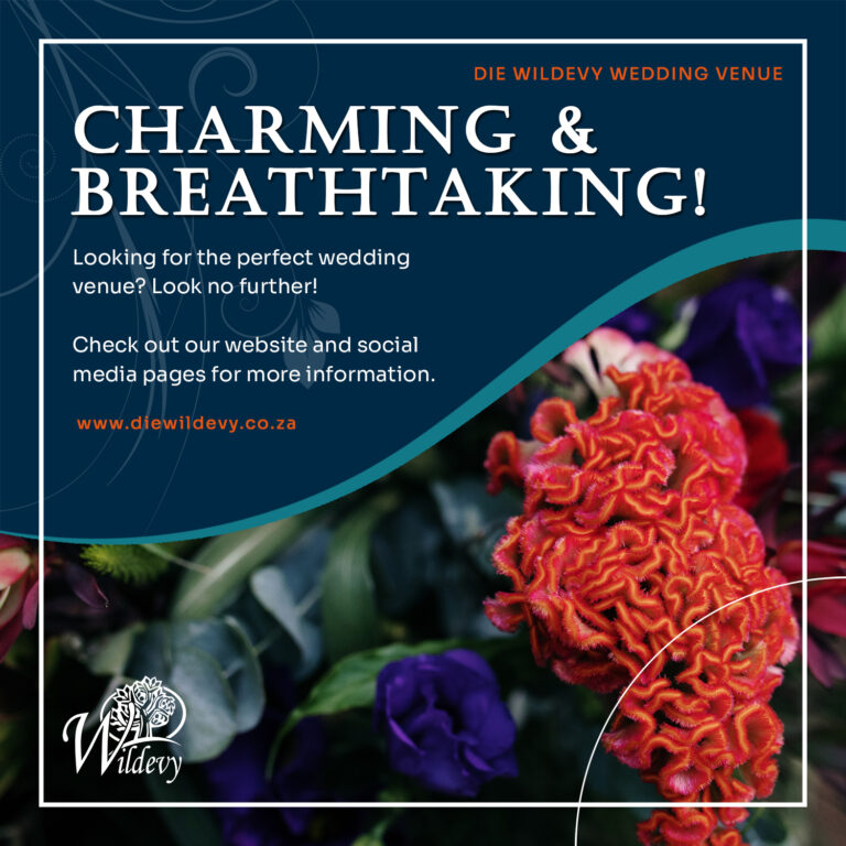 Die Wildevy Advert 2 768x768